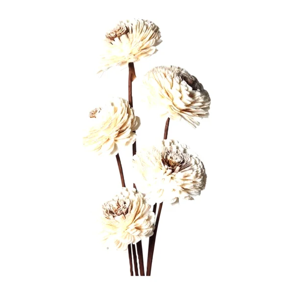 Center Skin Beli AR06: a bunch of handmade sola flowers on slim brown stems