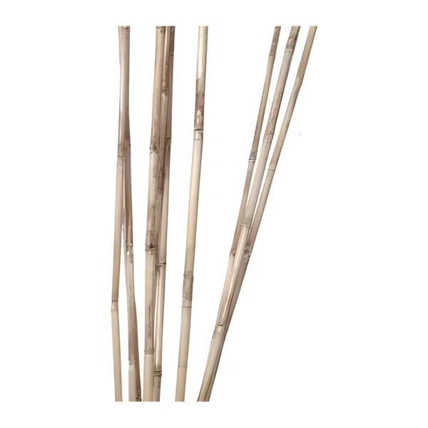 Rattan Stick BA05: straight, naturally dried jointed sticks in pale cream with grey-brown mottling and visible nodes