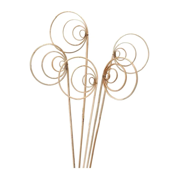 Cane