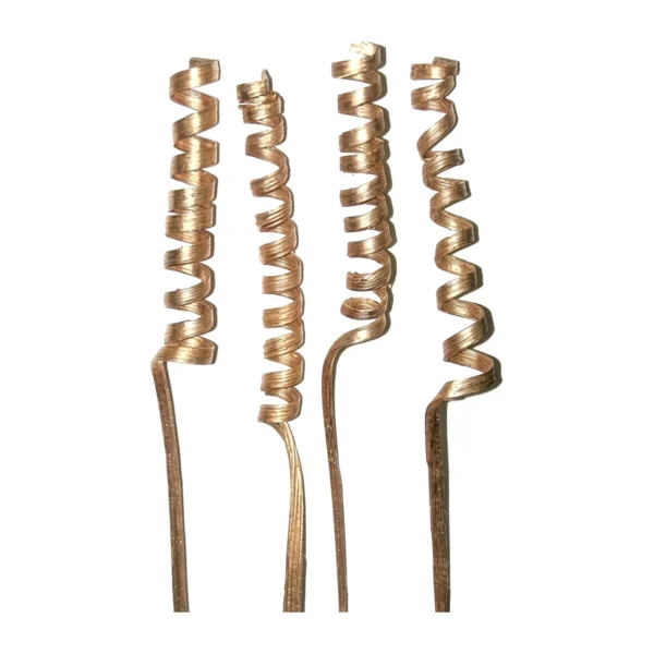 Cane Spring CA03: a handmade decorative stem
