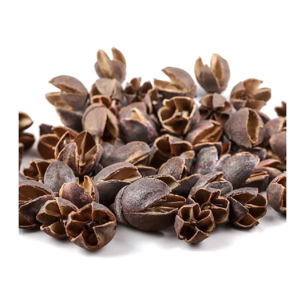 Bakuli EX02: a small, naturally dried woody pod
