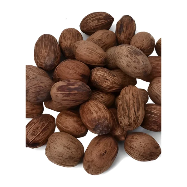 Amra Pod EX03: a naturally dried, almond-shaped botanical
