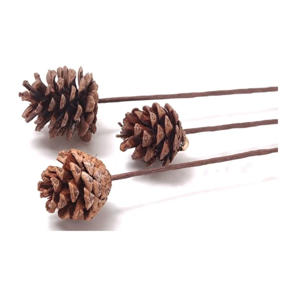 Pine with Stick EX04: natural dried pine cones with slim brown stems, ready to place straight into bouquets