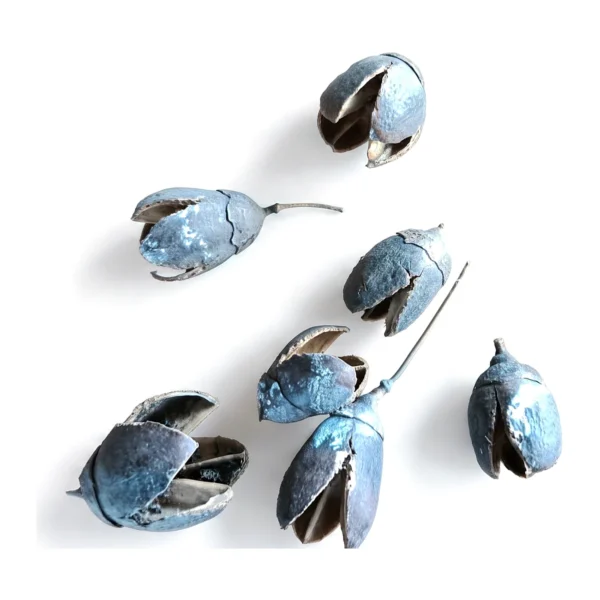 Bakuli Coloured EX07: the split Bakuli pod finished in dyed colour