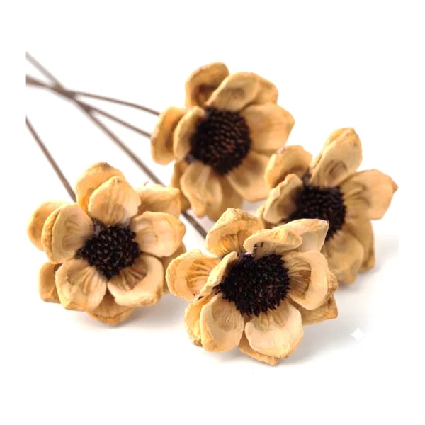 Sunflower with Stick EX09: a handcrafted natural flower with cupped cream-tan petals around a dark, seed-textured centre