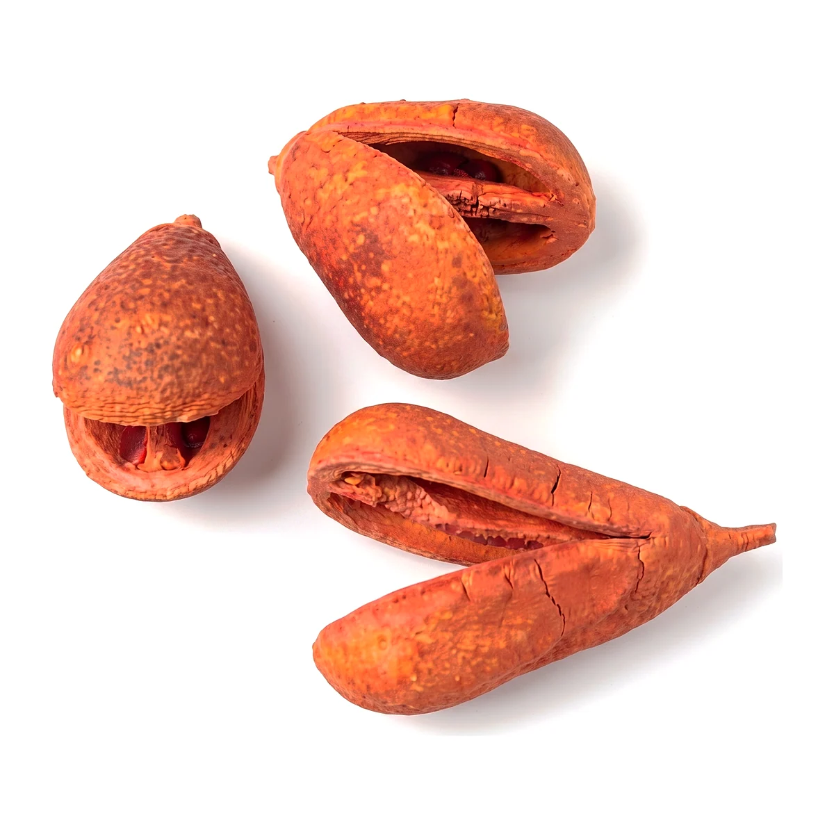 Bagon Fruit EX10: an elongated dried botanical pod split along its seam