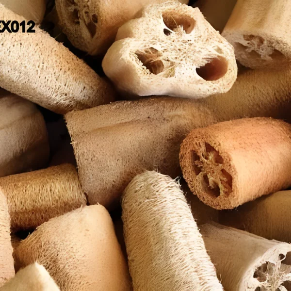 Cutting Luffa EX12: dried luffa gourd cut into short sections, showing a natural beige fibrous skin