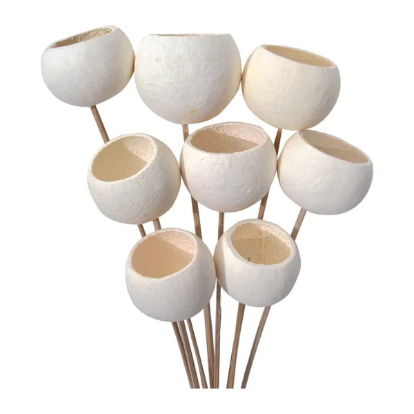 Bell Cup with Stick EX13: a round, open-mouthed dried pod in a clean white finish