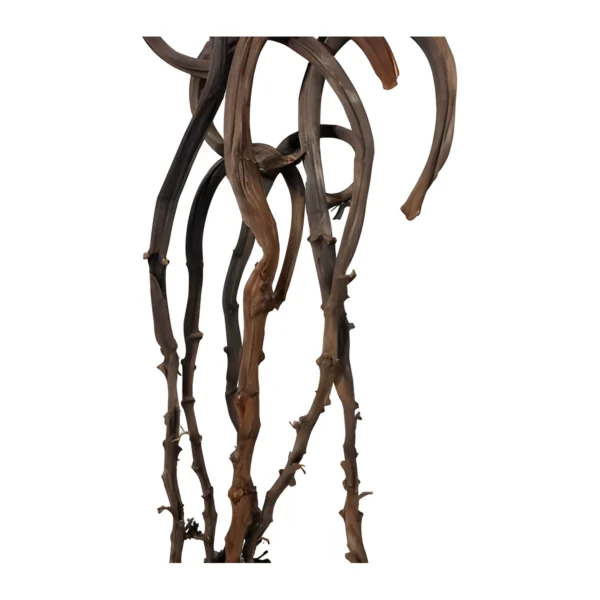 Banana Stick EX14: a long, naturally dried woody stem