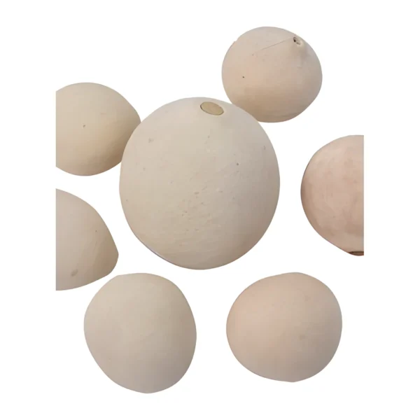 Bellani Bleached EX19: a smooth, rounded dried pod shell bleached to a soft ivory
