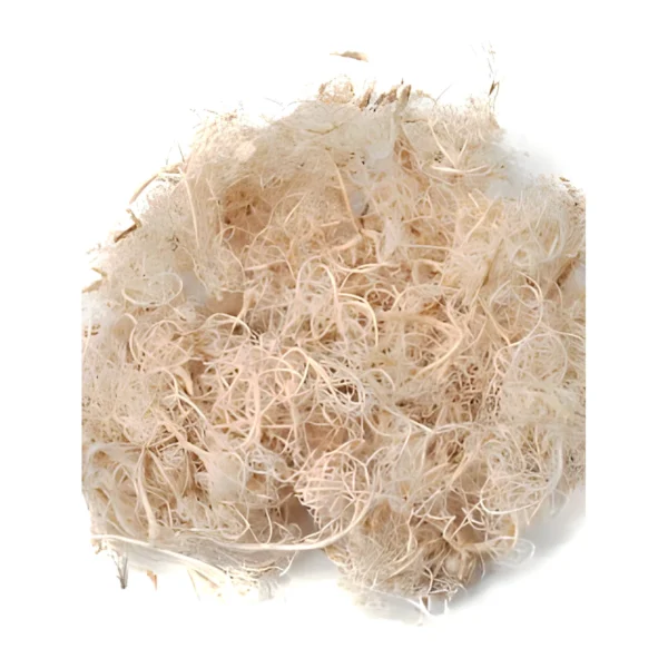 Curly Moss Bleached EX24: a soft, springy mass of fine curled natural strands bleached to pale cream