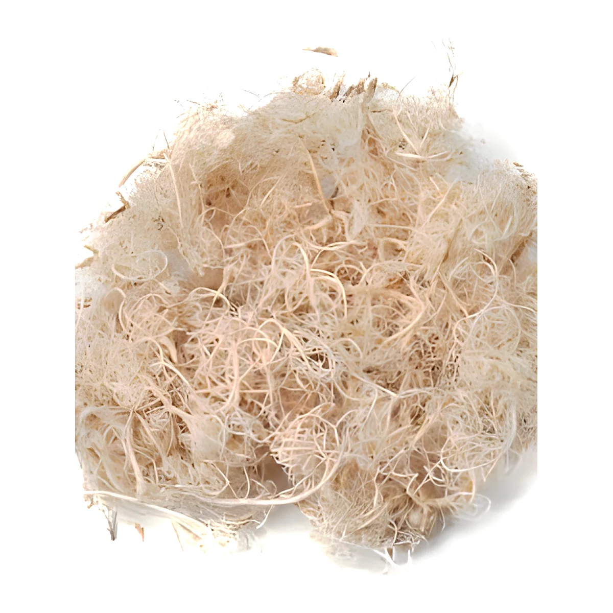 Curly Moss Bleached EX24: a soft, springy mass of fine curled natural strands bleached to pale cream