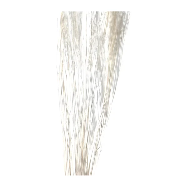 White Lady Bleached EX27: a sheaf of very fine, hair-like botanical strands, bleached to a soft ivory white