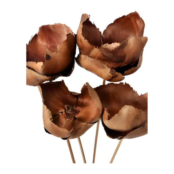 Palm Cap EX33: a naturally dried palm sheath shaped into an open, tulip-like cup