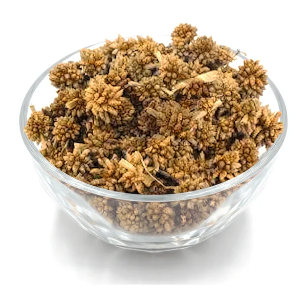 Star Flower – Honey Tan EX34: supplied as loose, naturally dried flower heads