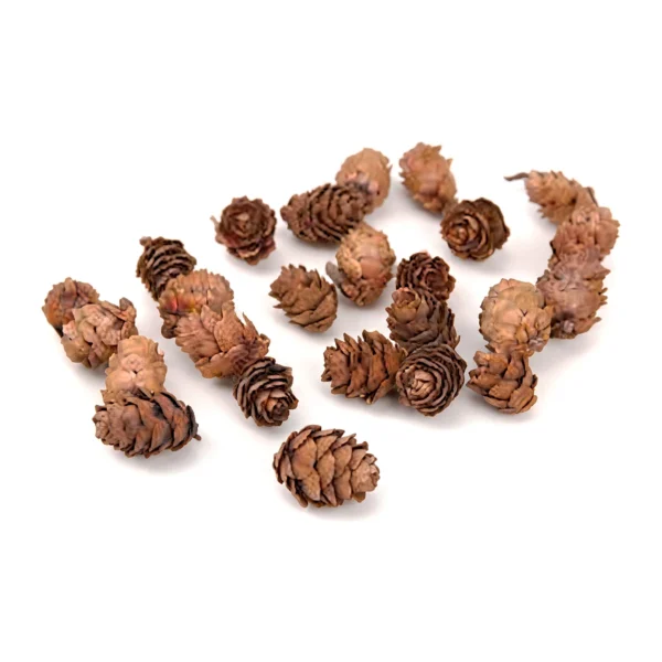 Mini Pine Cones Mixed EX35: a mixed lot of small, naturally dried cones in warm reddish brown