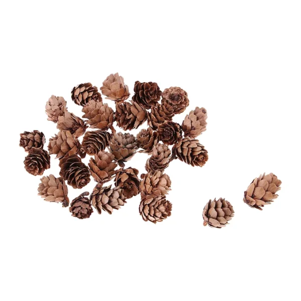 Mini Pine Cones Uniform EX46: a neat, uniform lot of small, naturally dried cones