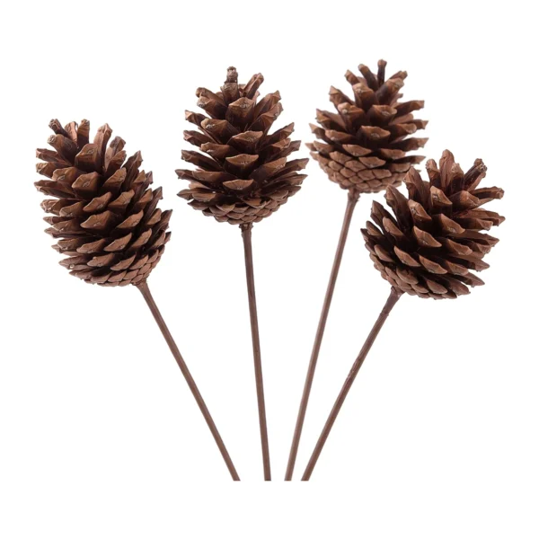 Pine Cone with Stick EX47: a fully opened, oval pine cone in even mid-brown, mounted upright
