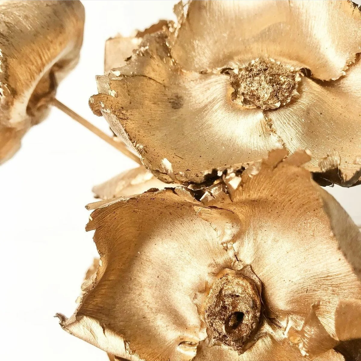 Gold Mushroom with Stick EX52: a dried decorative mushroom cap painted metallic gold and mounted on a slim stick – view 2