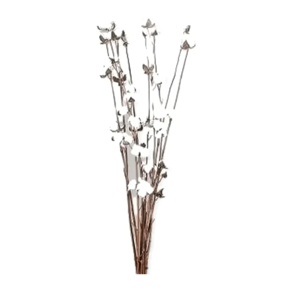 Cotton Flower Stem GR09: a naturally dried stem of fluffy white cotton bolls held in brown bracts on slim, branching twigs