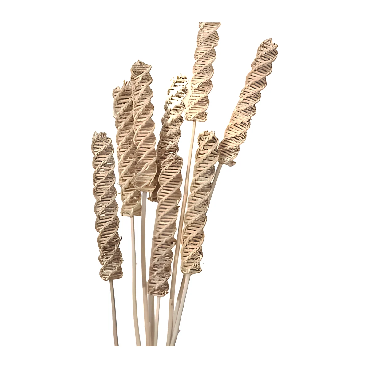 Lata Roller HM18: a handmade spiral stem made by twisting flat natural vine