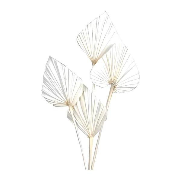 Palm Spear Bleached LE08: bleached palm spears with fine, closely pleated fans in clean white on pale stems