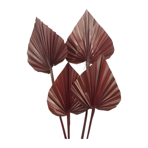 Palm Spear Dark LE09 in a deep burgundy-brown, with pointed, pleated fans on matching stems and a light sheen