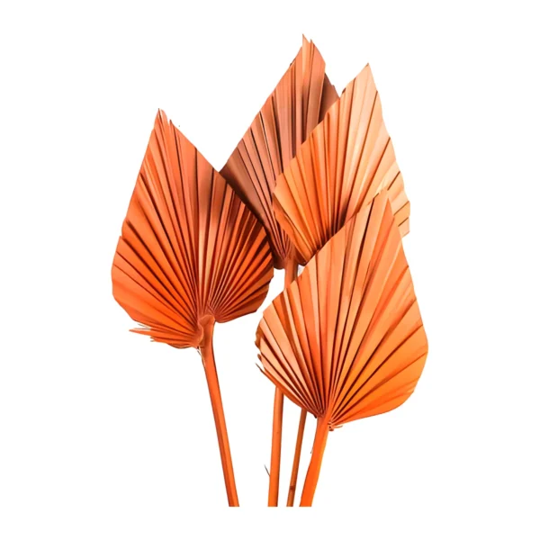 Palm Spear Orange LE11: pleated, pointed palm spears dyed a warm burnt orange