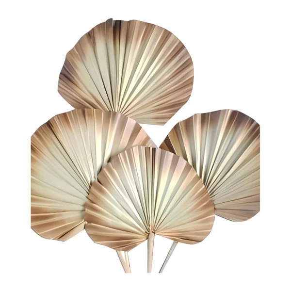 Dried Leaves