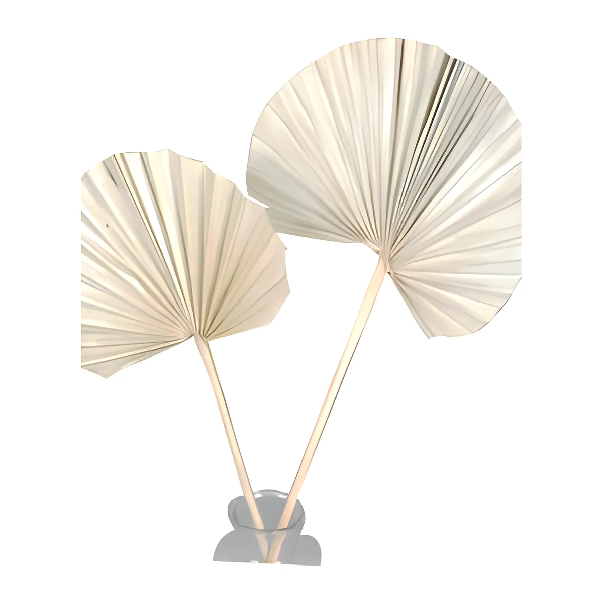 Palm Spear Round – Pale Cream LE13 in an even, pale cream, with a wide, pleated fan on a long straight stem