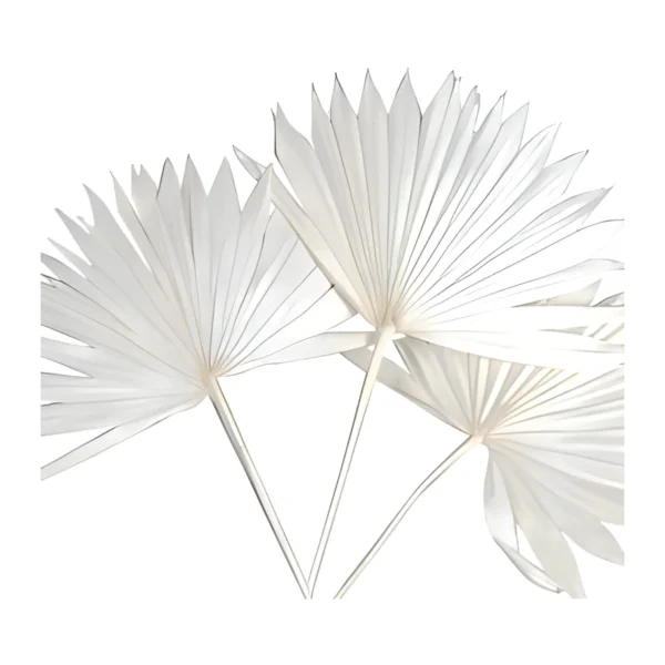 Palm Sun Spear – White LE14: white palm sun spears