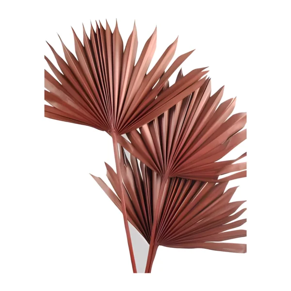 Palm Sun Spear – Dusty Rose LE15: palm sun spears in a dusty terracotta rose