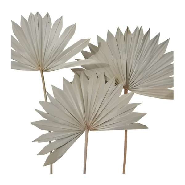 Palm Sun Spear – Stone Grey LE16: natural palm sun spears in a soft stone-grey beige