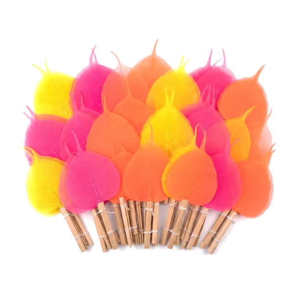 Skeleton Peepal Net – Dyed Colours LE17: skeleton peepal leaves dyed in bright yellow, pink and orange