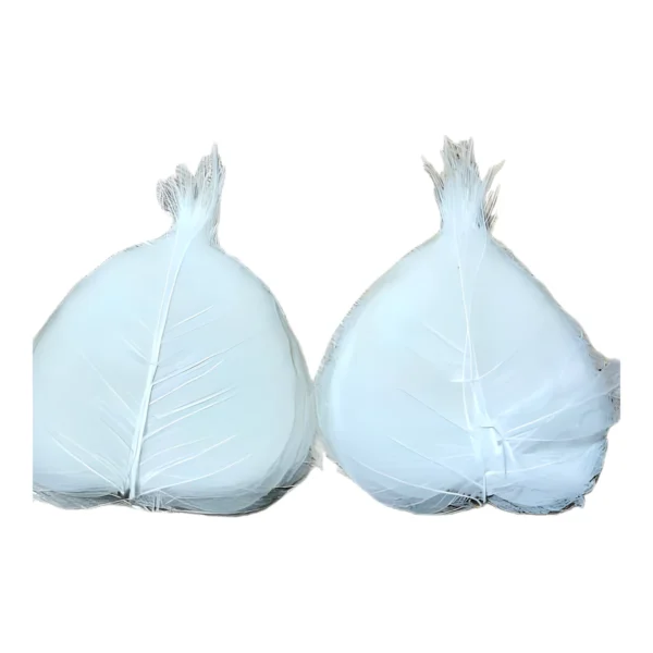 Skeleton Peepal Net – White LE18: skeleton peepal leaves in white, supplied as flat stacks without sticks