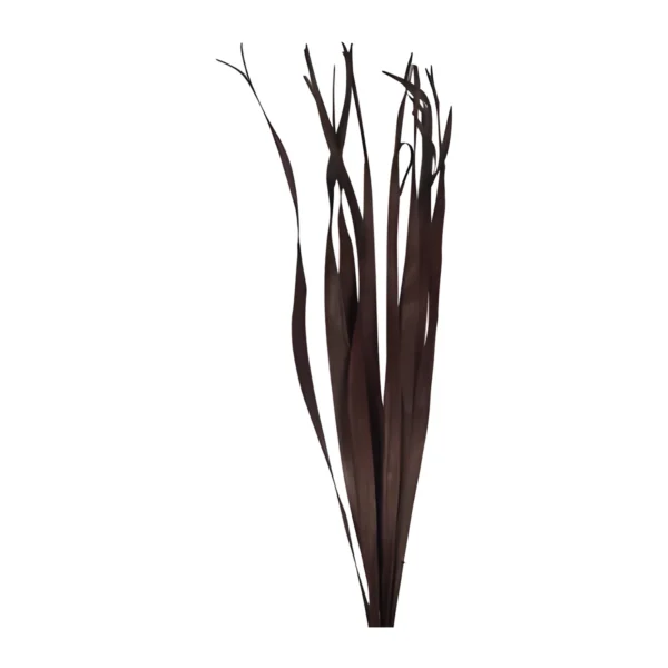 Sun Palm Leaves LE19 in a deep chocolate brown: long, narrow palm leaf strips gathered in a bunch