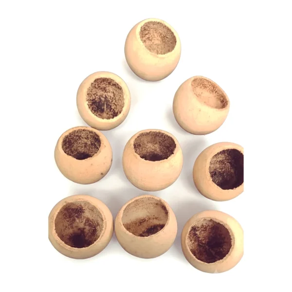 Bell Cup MI07: rounded, open-topped cups with a smooth peach-tan shell