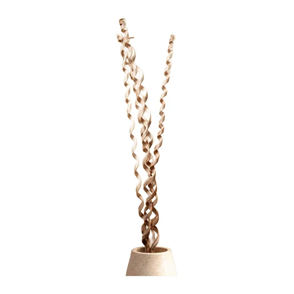 Kambu Lazer Natural MI09: long, slender natural strips curled into tight corkscrew spirals in a pale beige tone