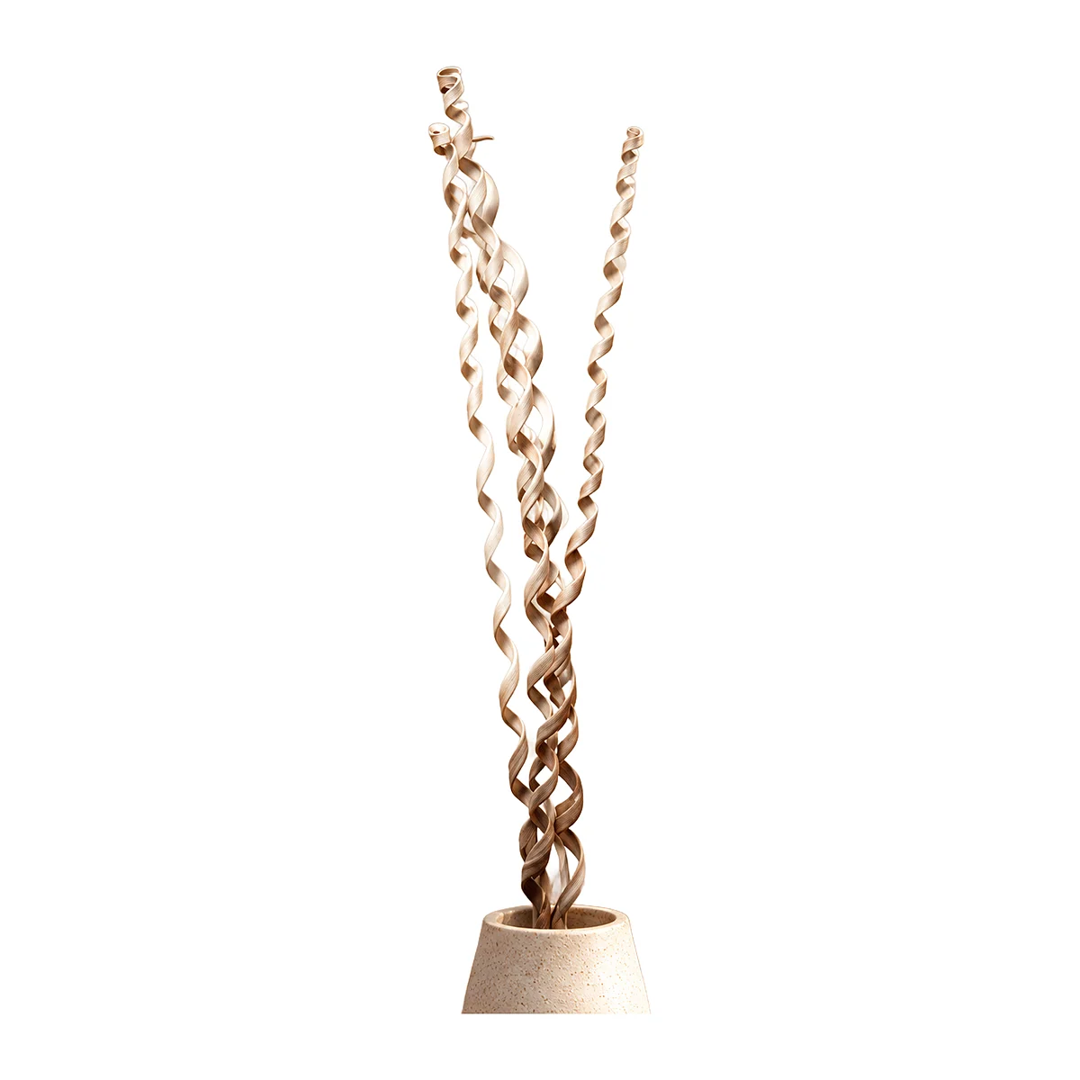Kambu Lazer Natural MI09: long, slender natural strips curled into tight corkscrew spirals in a pale beige tone