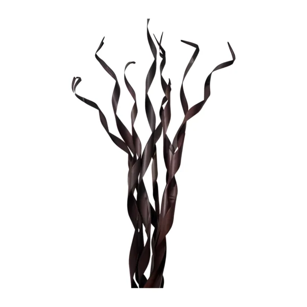 Sun Palm Roll Brown MI10: long palm leaf strips twisted into loose, ribbon-like spirals in a deep brown