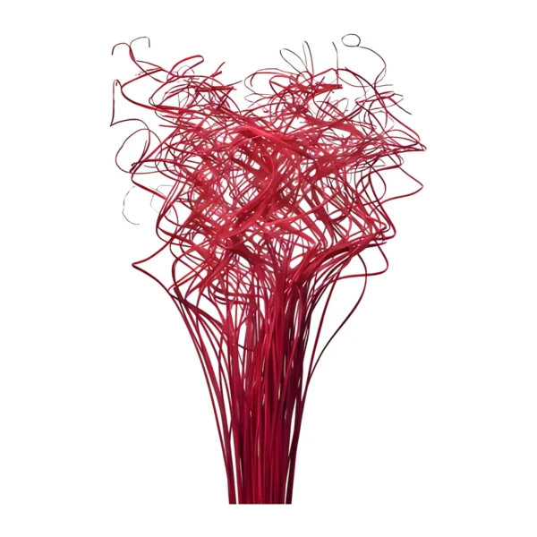 Curly Ting Ting Red MI11: a full bunch of fine dried stems dyed a deep crimson red