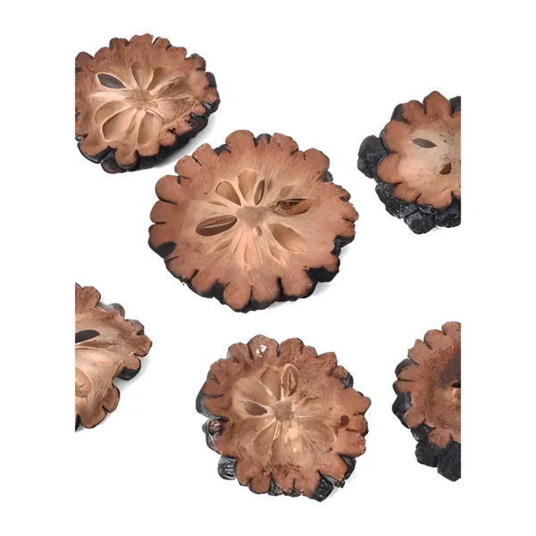Ata Slice PO01: a naturally dried fruit cross-section