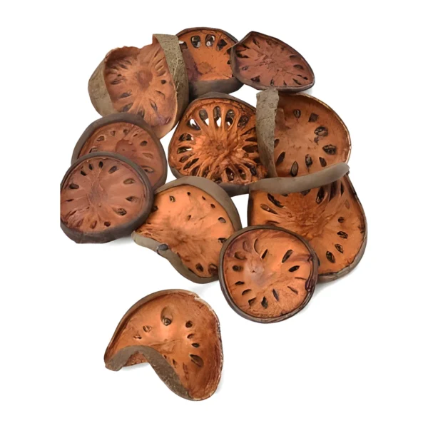 Bell Slice PO02: dried bael fruit rounds with a hard rind and a warm orange-brown face patterned by radiating seed chambers