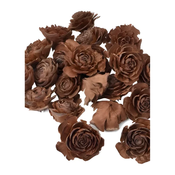 Potpourri