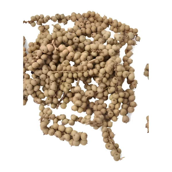 Canella Cobs PO05: naturally dried strands of small round beige berries on fine branching stalks