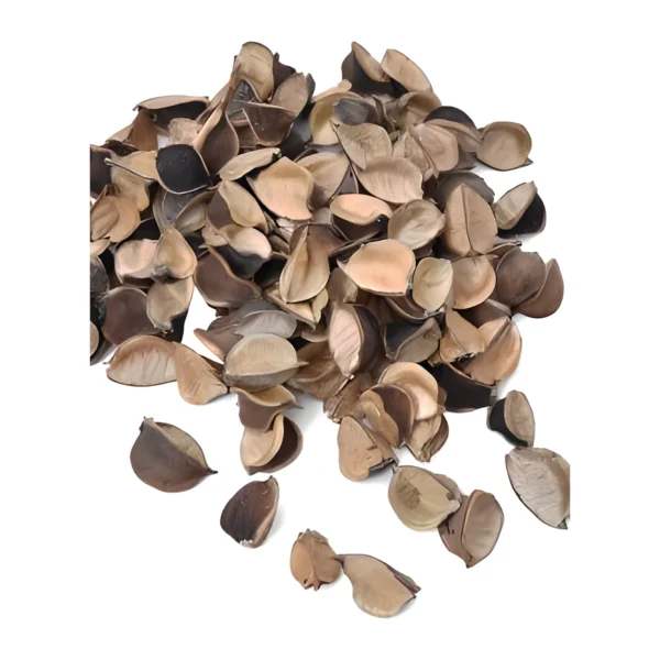 Cotton Petal or Chips PO08: individual segments separated from dried cotton boll husks
