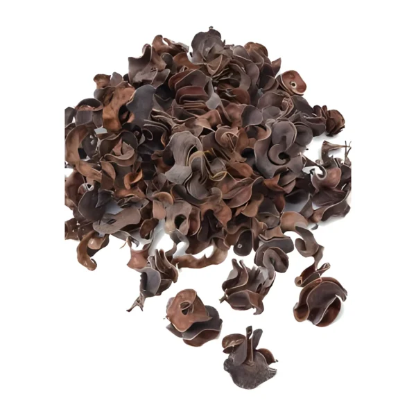 Curly Pod PO09: a naturally dried seed pod