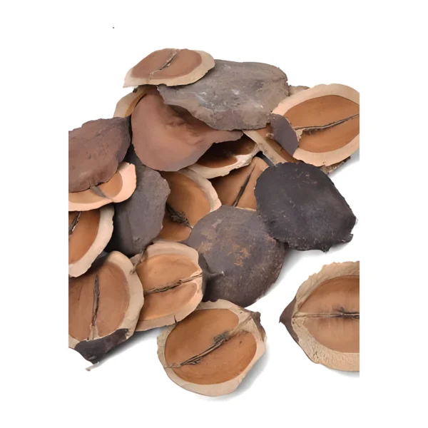 Jacaranda Petal PO10: the flat, split half of a dried jacaranda seed pod, with a smooth caramel inner face