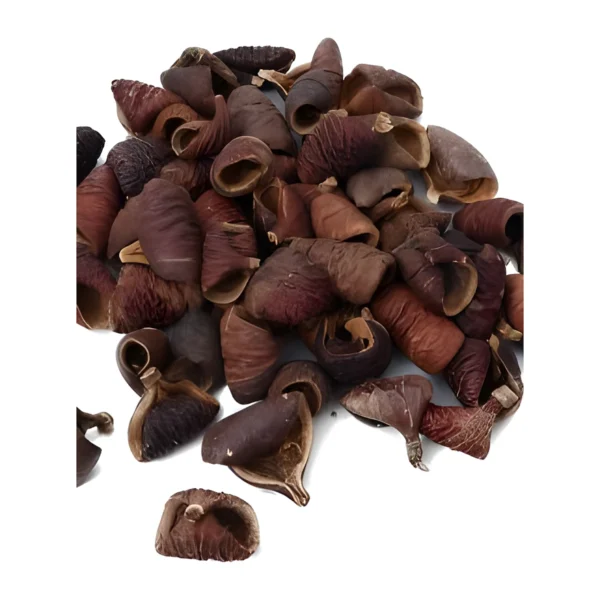 Lali Petal PO11: naturally dried, curled pod shells in maroon and reddish-brown