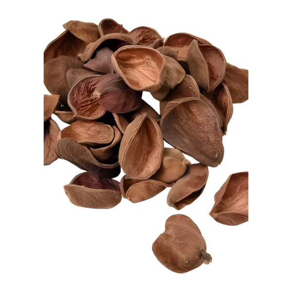 Land Lotus Petal PO12: naturally dried, boat-shaped pod halves in warm copper-brown